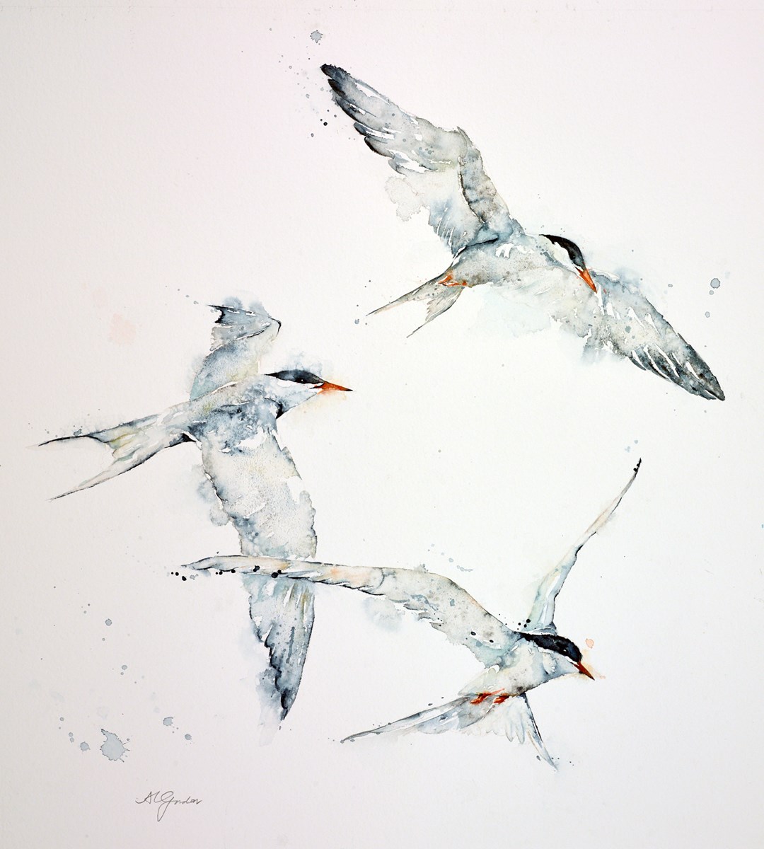 Sea Swallows